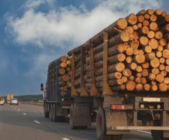 Transport de bois : solutions fiables pour vos livraisons de bois