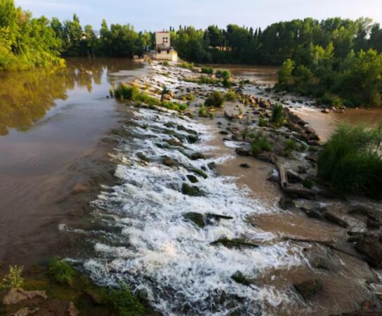 Aménagement de bandes riveraines : protégez et valorisez vos espaces naturels