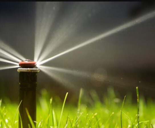 Installation d’arrosage automatique : simplifier l’entretien de votre jardin