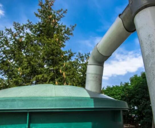 Récupération d’eau de pluie : comment économiser l’eau et protéger la planète ?