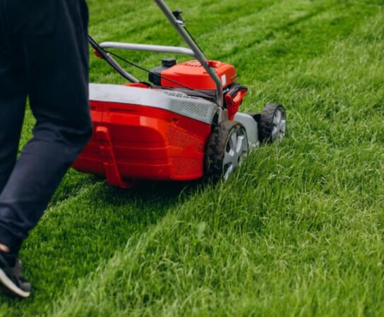 Tonte de pelouse : astuces pour un gazon impeccable toute l’année