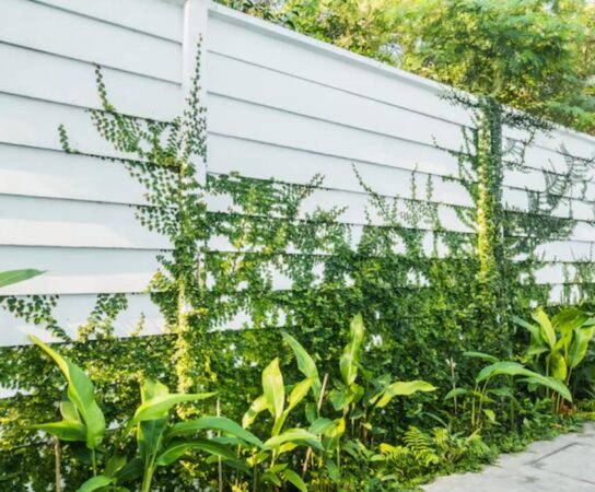 Clôture mitoyenne : frais, bornage et règles à connaître