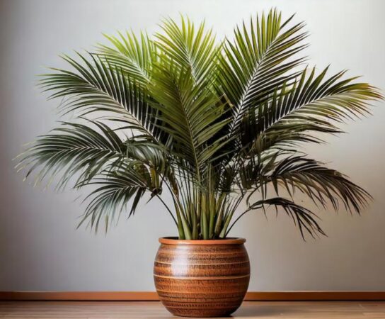 Plantes ornementales XXL : tendance pour l’aménagement intérieur haut de gamme