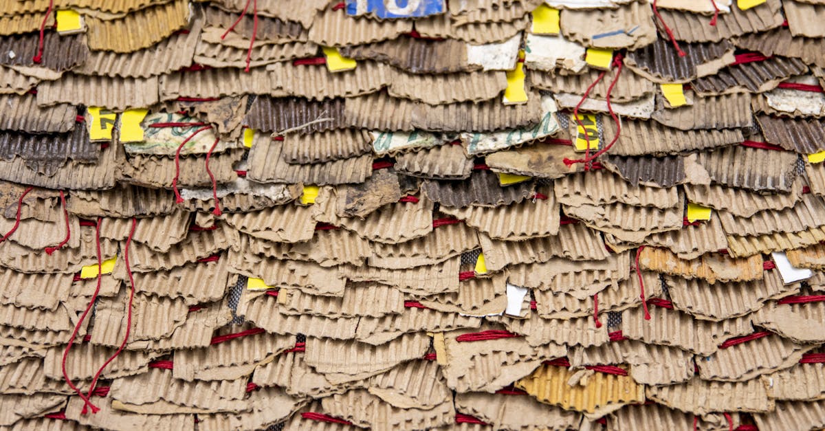 découvrez des idées innovantes pour le recyclage créatif, transformant les déchets en objets utiles et artistiques tout en réduisant votre impact environnemental.