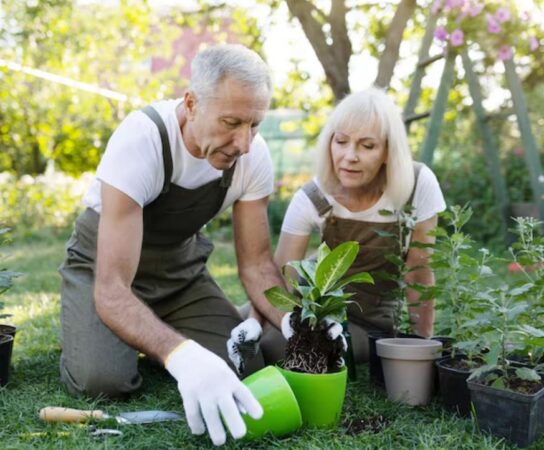 Services de jardinage et bricolage pensés pour les seniors