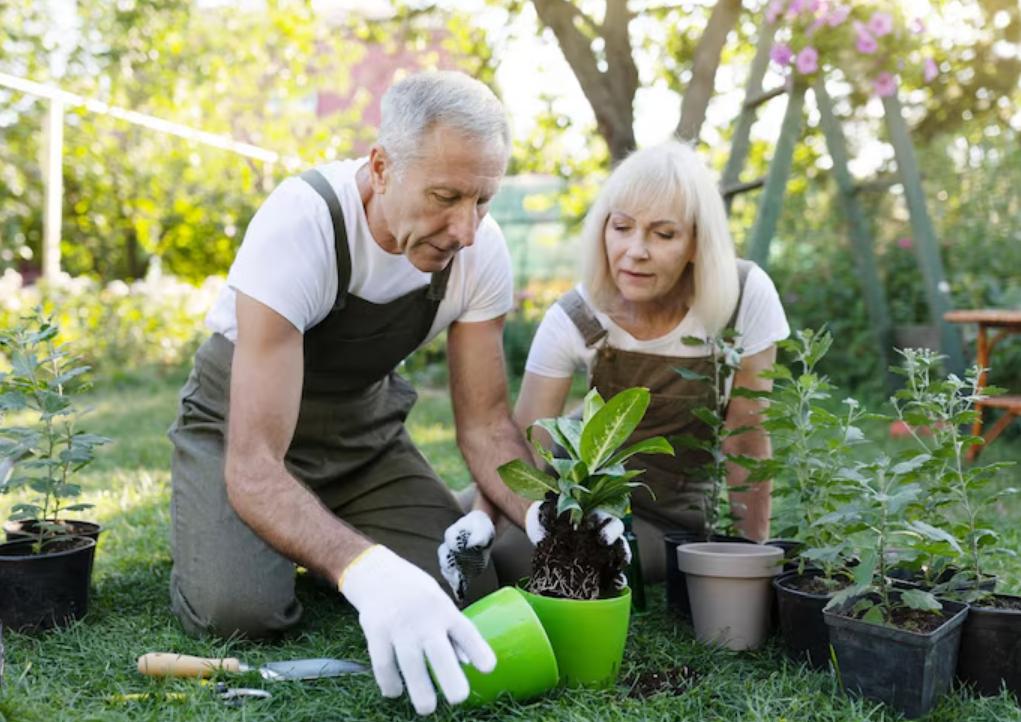 Services de jardinage et bricolage pensés pour les seniors
