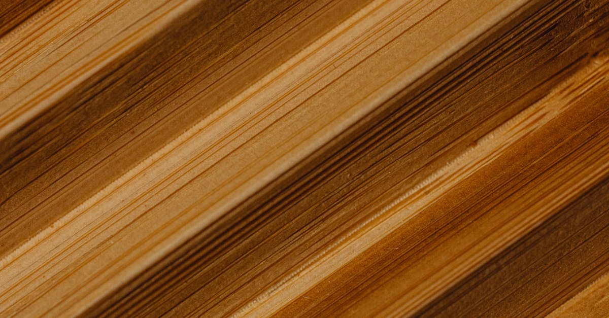 découvrez notre sélection de bois brut de haute qualité, idéal pour vos projets de menuiserie et décoration naturelle.