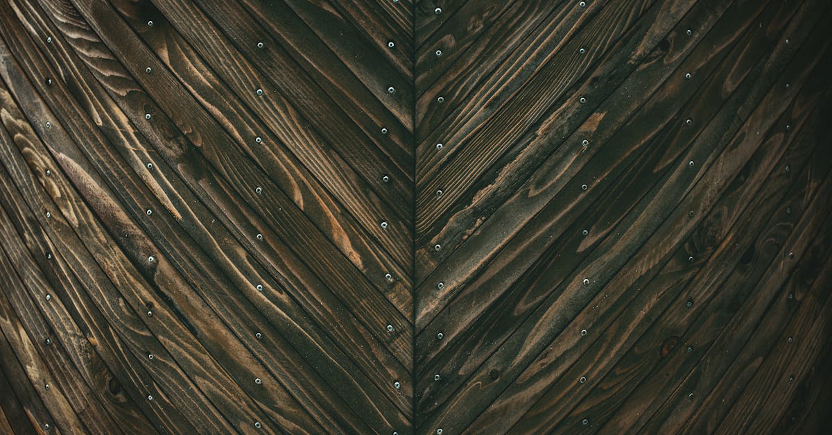 découvrez notre décoration en bois brut, alliant authenticité et naturel pour un intérieur chaleureux et unique.