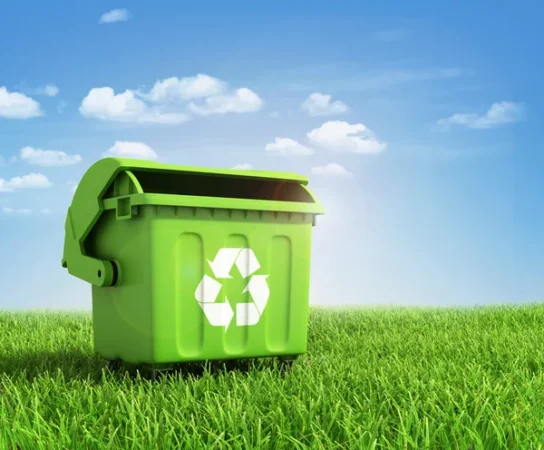 Valorisation après évacuation des déchets verts : compost et biomasse