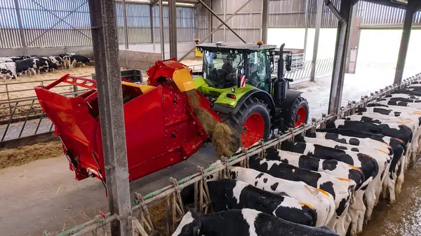 Des automates de distribution performants pour la santé de votre troupeau