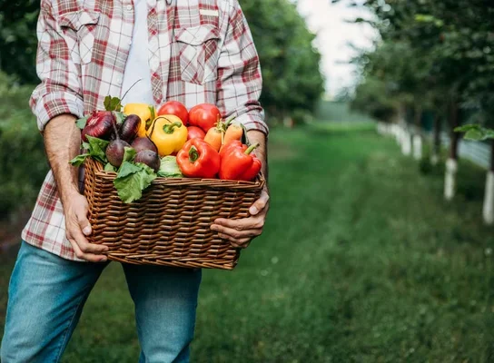 Quels légumes de saison privilégier pour booster son système immunitaire ?