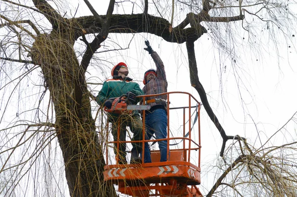 Le système de rétention de branches expliqué aux novices