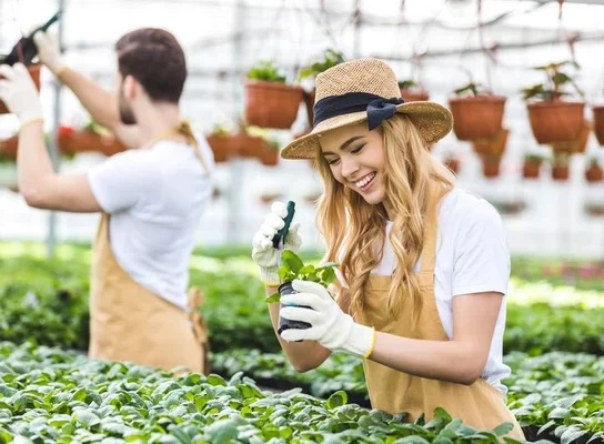 Réussir son jardin sec : les meilleures variétés de plantes sans arrosage