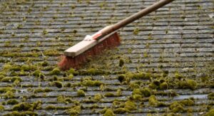 Démoussage manuel à la brosse dure : courage et effort