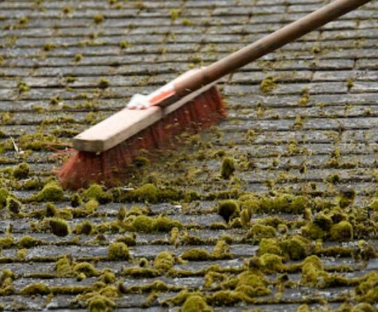 Démoussage manuel à la brosse dure : courage et effort