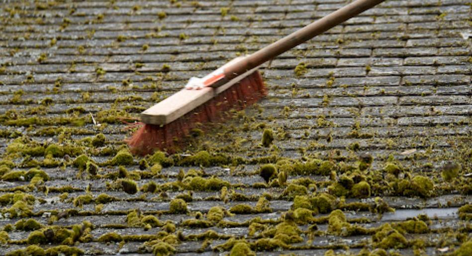 Démoussage manuel à la brosse dure : courage et effort