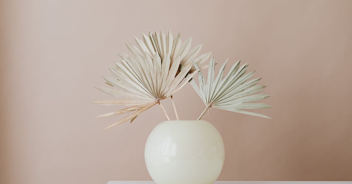 découvrez tout sur la couleur beige : ses nuances, ses utilisations en décoration, mode et design pour un style élégant et intemporel.