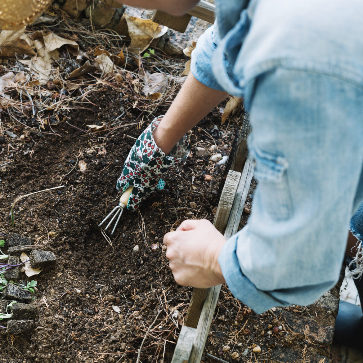 Comment accéder facilement à une fosse pour le remplacement avec une pelleteuse dans votre jardin