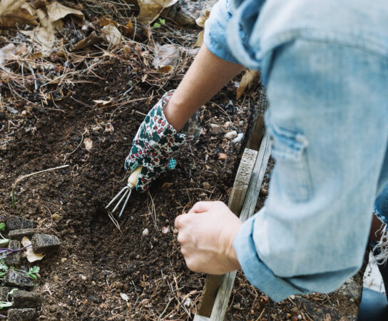 Comment accéder facilement à une fosse pour le remplacement avec une pelleteuse dans votre jardin