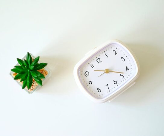 Quand la sobriété des formes sublime la richesse des matériaux