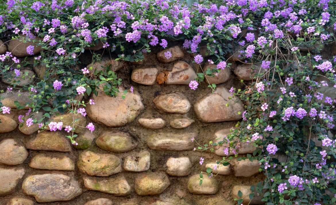 Aménagement extérieur : Comment l&rsquo;enrochement s&rsquo;intègre parfaitement dans un jardin méditerranéen?