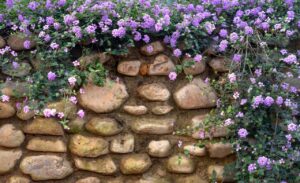 Aménagement extérieur : Comment l&rsquo;enrochement s&rsquo;intègre parfaitement dans un jardin méditerranéen?