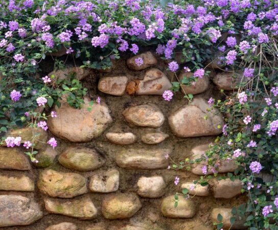 Aménagement extérieur : Comment l&rsquo;enrochement s&rsquo;intègre parfaitement dans un jardin méditerranéen?