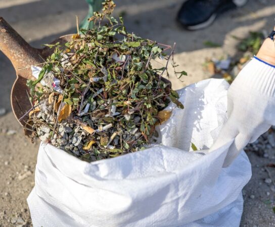 Compostage industriel benne déchets verts