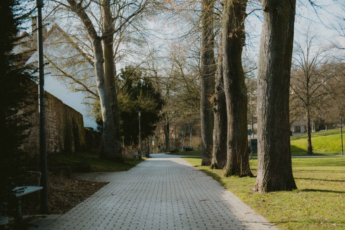 Balisage allée avec détecteur de passage