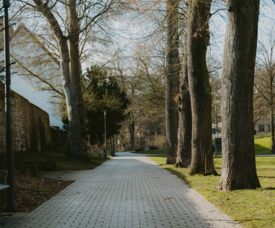 Balisage allée avec détecteur de passage