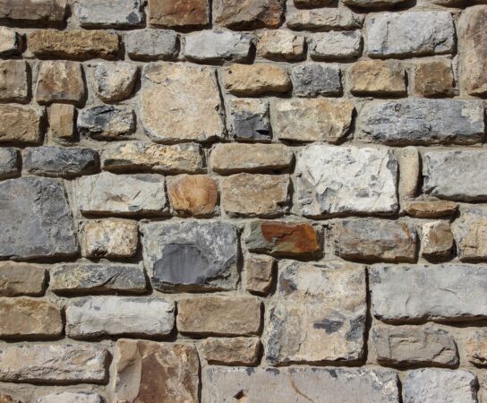 Mur de soutènement : comment l&rsquo;habiller pour votre jardin ?
