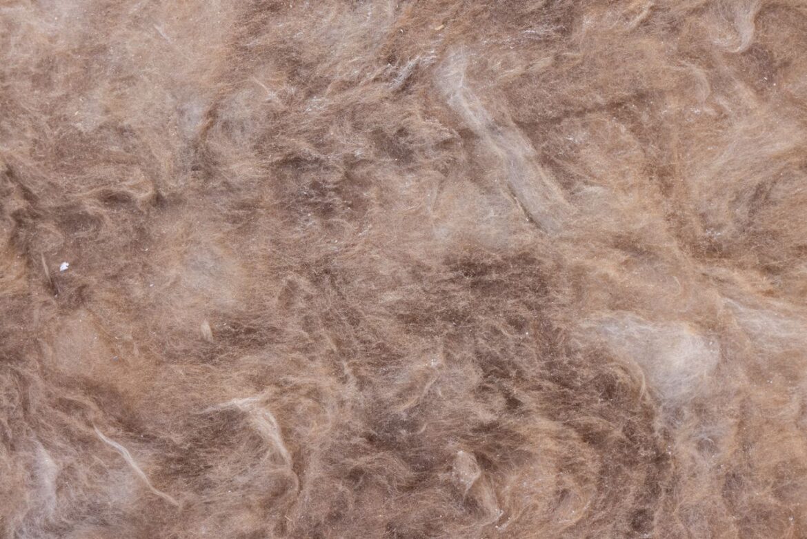Matériaux isolants : le guide pour une isolation par l&rsquo;intérieur