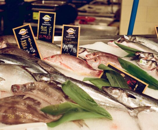 Poissonnerie : les bienfaits nutritionnels d&rsquo;une consommation de poisson frais