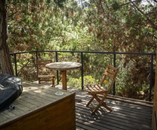 Terrasse en bois exotique d&rsquo;Ipé : la reine de la longévité extérieure