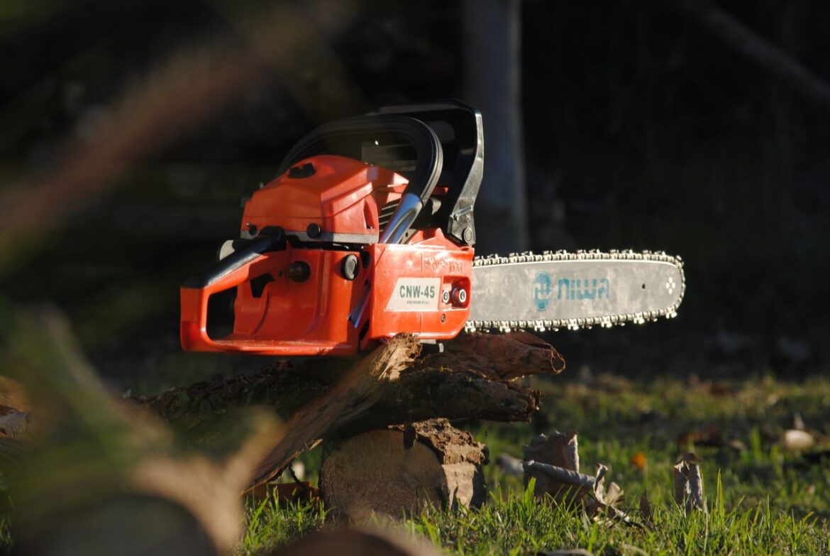 Comment réussir l&rsquo;entaillage et la coupe d&rsquo;abattage d&rsquo;un arbre droit?