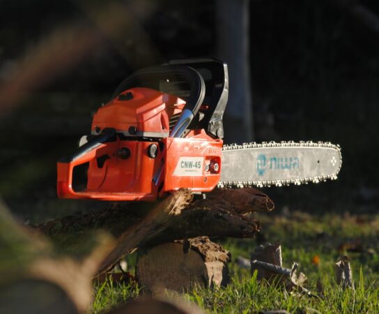 Comment réussir l&rsquo;entaillage et la coupe d&rsquo;abattage d&rsquo;un arbre droit?